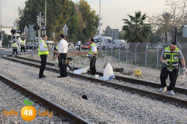 dahs lud 01121 (13).JPG